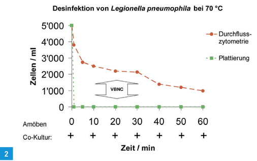 



Legionellen, eingebettet in Biofilme, überleben 70 °C heißes Wasser für 60 Minuten und länger.
