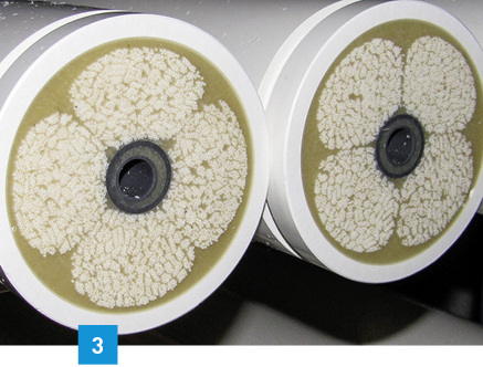 
Querschnitt durch einen Seccua-Membranfilter, der für Bakterien eine kaum durchdringbare Barriere darstellt.
