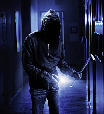 



Alarmsysteme stoßen mit 38 % bei den von Deloitte befragten Endkunden zahlenmäßg auf das größte Interesse.
