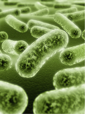 
Stehendes Leitungswasser ist ein Nährboden für Keime.
