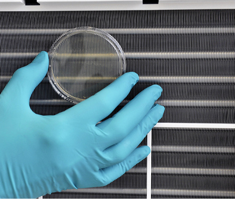 
Mikrobiologische Prüfungen werden durch Kontaktkulturproben – sogenannte Abklatschproben – durchgeführt. 
