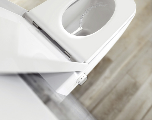 <p>
</p>

<p>
Eine Alternative zum Dusch-WC mit Strom, Tank und Sitzheizung: Das Tece-One funktioniert mit Warmwasser aus der Hausinstallation. 
</p> - © Foto: Tece

