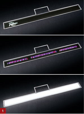 









1 Bei der Duschrinne Linearis Comfort von Kessel kann der Steg in Edelstahloptik verwendet oder gewendet und individuell befliest werden.



2 Mit einem flachen Bodenelement mit wandanliegender Rinne bietet Repabad für den Badumbau viele Einsatzmöglichkeiten.



3 Bei dem befliesbaren Duschboard von Kermi sind Ablaufanschluss und Duschrinne bereits werkseitig eingedichtet.
