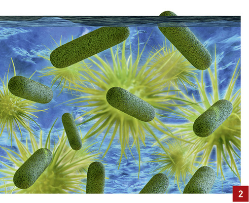 
Das Trinkwasser aus öffentlichen Sanitärräumen ist oftmals mit gesundheitsgefährdenden Keimen belastet.
