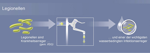 <p>
Legionellen sind Bakterien, die beim Menschen unterschiedliche Krankheitsbilder verursachen, von grippeartigen Beschwerden bis zu schweren Lungenentzündungen.
</p>