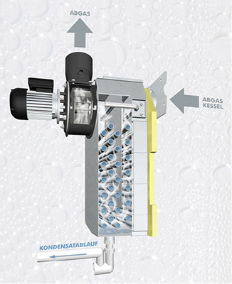



Der Brennstoff Holzpellets liefert über den Verbrennungsprozess ausreichend Wasser, indem Wasserstoff mit Sauerstoff zu Wasser reagiert. Das Kondensat ist nahezu neutral. 
