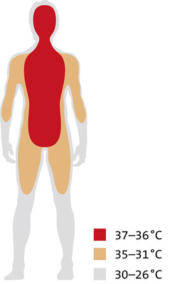 



Die Wärmezonen des Menschen als physiologische Grundlage der thermischen Behaglichkeit. 
