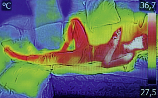 





Ein solches Bild muss durch entsprechende Rechenleistung in Millisekunden ausgewertet werden, um dann eine gezielte Strahlendosis zur Erwärmung der Person auszusenden.

