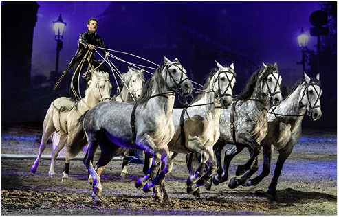 <p>
Apassionata setzt mit aufwendiger Bühnentechnik und Choreografie Pferde mal rasant, mal berührend in Szene.
</p>

<p>
</p> - © Apassionata

