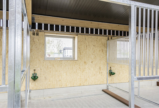 
Trinkwasserhygiene ist auch in den großzügigen Pferdeboxen ein wichtiges Thema. Die einzelnen Tränkebecken sind beispielsweise durchgeschliffen.



