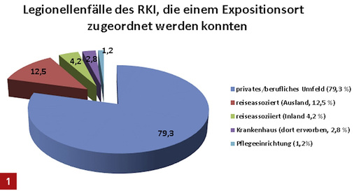 <p>
Das Robert-Koch-Institut konnte einen großen Teil der gemeldeten Legionellenfälle dem häuslichen Umfeld zuordnen – fast 80 %.
</p>

<p>
</p> - © Verändert nach Robert-Koch-Institut

