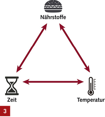 
Nährstoffe, unregelmäßiger Wasserwechsel (Zeit), „Wohlfühl-Temperaturen“ – drei wesentliche Wachstumsfaktoren für Bakterien, denen man technisch begegnen kann.



