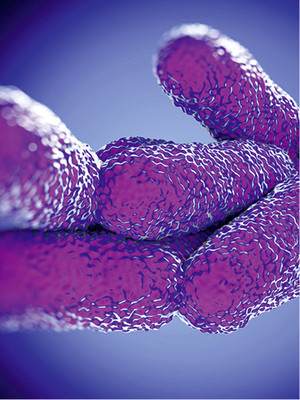 <p>
Legionellen sind ein Indikator für Mängel in der Trinkwasserinstallation.
</p>
<p>
</p> - © royaltystockphoto / Thinkstock
 
Legionellen sind ein Indikator für Mängel in der Trinkwasserinstallation.