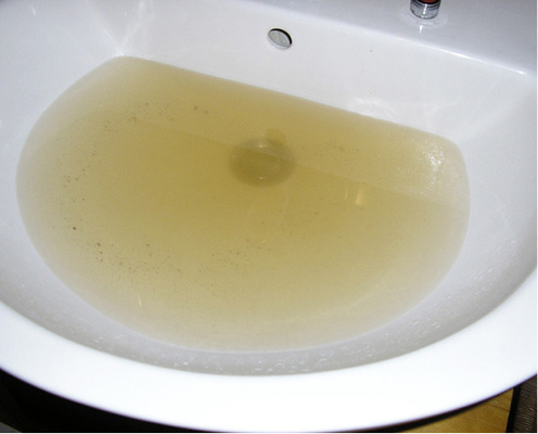 



Kontamination mit Legionellen, Korrosionsvorgänge und Sedimentierung verwandeln Trinkwasser in eine „unappetitliche Brühe“.
