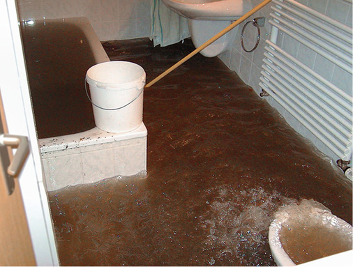 



Ohne die passende Sicherung können Rückstauereignisse erhebliche Schäden zur Folge haben.
