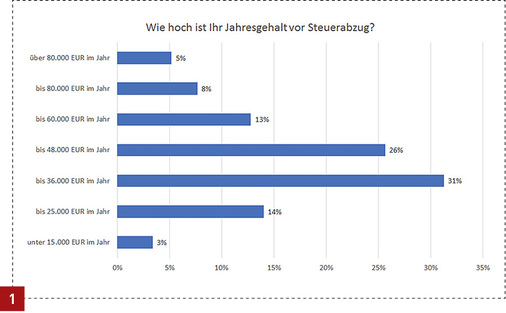 
Das Gehalt liegt mehrheitlich (31 %) zwischen 25 000 und 36 000 Euro vor Steuerabzug.



