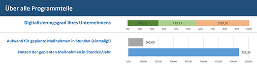 Komprimierter Auszug aus dem Analyse-Ergebnis des Streit Digitalisierungsassistenten anhand eines Beispiels.