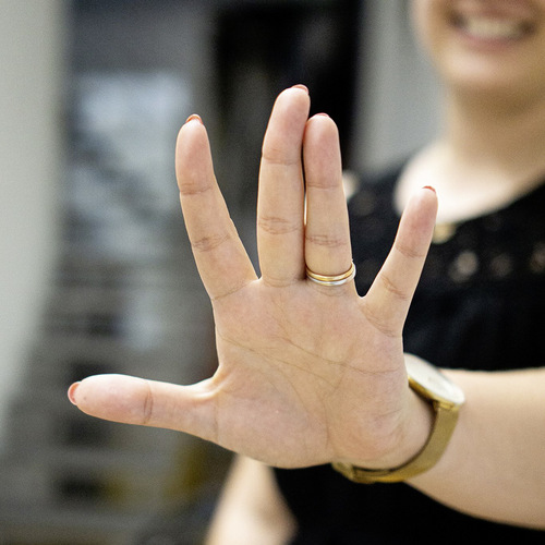 4 Stopp – mithilfe der Fünf-Finger-Regel kann man sich einfach merken, dass Flüssigkeiten der Kategorie 5 grundsätzlich nicht mit dem Trinkwassersystem in Verbindung kommen dürfen.