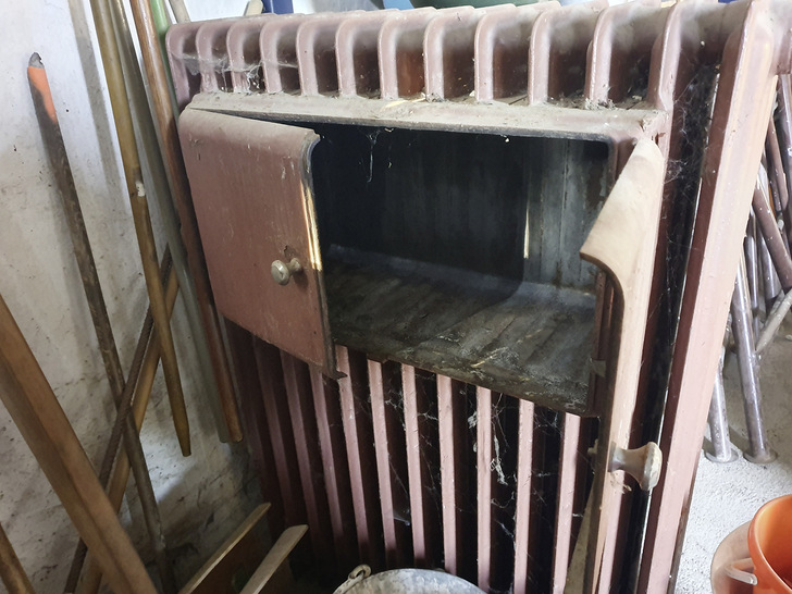 Auch Katzen dürfte dieser Platz gefallen. - © Bild: Rönick
 Auch Katzen dürfte dieser Platz gefallen.