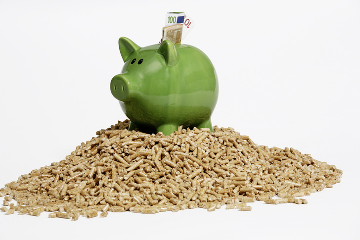 Der Einbau von Holzkesseln und wasserführenden Pelletkaminöfen werden vom Staat bezuschusst.