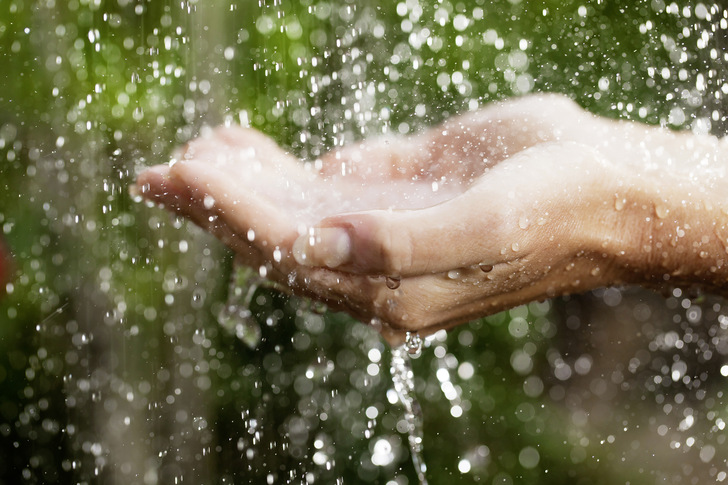 Regenwassernutzung kann die Gebühren für Trink- und Abwasser reduzieren. - © Bild: Getty Images/skynesher
