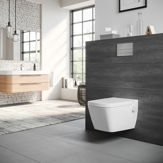 Was wünschen sich eigentlich Verbraucher von Dusch-WCs, vor allem der heftig umworbene Badrenovierer aus der Alterskohorte 55+?