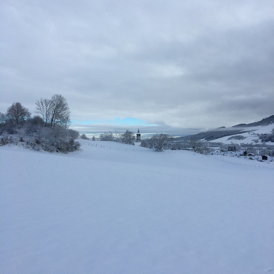 Weiße Weihnachten wären mal wieder schön …