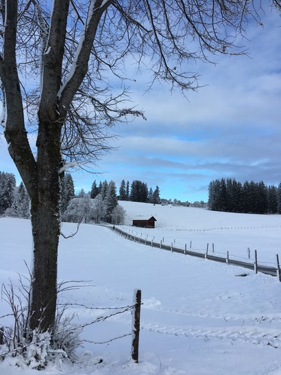 Ein Winterspaziergang ist am 1. Weihnachtsfeiertag besonders schön.