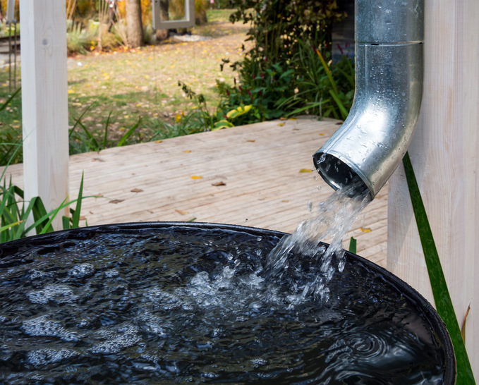 Regenwasser ist eine kostbare Ressource, deren Nutzung viele Vorteile hat – nicht bloß zur Gartenbewässerung. - © Bild: iStock / Getty Images Plus / tanyss

