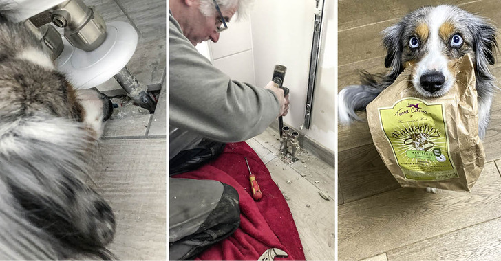 Luna erschnüffelt eine Leckage (links). Der Installateur öffnet die Stelle, die Luna anzeigt (Mitte). Das Gemäuer ist feucht, die undichte Stelle im Rohr ist gefunden und wird repariert. Die Belohnung: Luna erhält ein Leckerli.