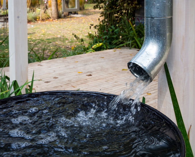 Regenwasser ist eine kostbare Ressource, deren Nutzung viele Vorteile hat – nicht bloß zur Gartenbewässerung.