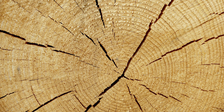 Bild 1: Geschossdecken mit tragenden Elementen aus Holz in Form gesägter oder behauener (Decken-)Balken waren bis etwa 1940 bei Mehrfamilienhäusern üblich. Bei Modernisierungsmaßnahmen sind fast zwangsläufig Rochdurchführungen erforderlich, die aber heutigen Anforderungen an den Brandschutz genügen müssen. - © Bild: AVNphotolab / iStock / Getty Images Plus
