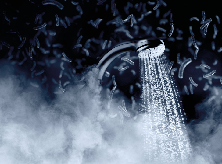 Forscher der Universität Zürich haben herausgefunden: Die Vorliebe von Legionellen für Wärme hat eine klare Grenze.