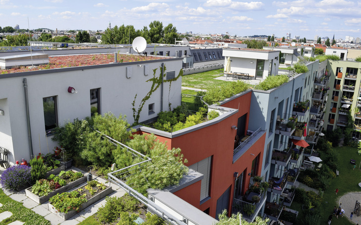 Bei der Bezeichnung „Schwammstadt“ handelt es sich um eine eingetragene Wortmarke eines Berliner Landschaftsarchitektenbüros.