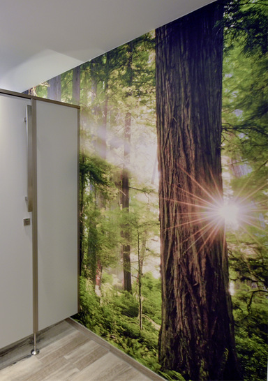 In jeder Etage wurde von den Mitarbeitern ein anderes Motiv aus der Themenwelt „Wald und Natur“ ausgewählt, das sich über eine Seitenwand der WC-Räume erstreckt.