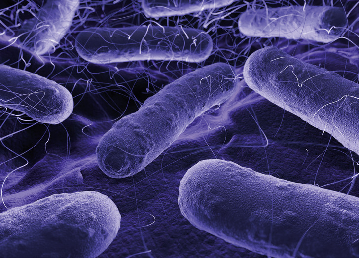  Pseudomonas aeruginosa ist besonders für Menschen mit geschwächtem Immunsystem ein erhebliches Gesundheitsrisiko.