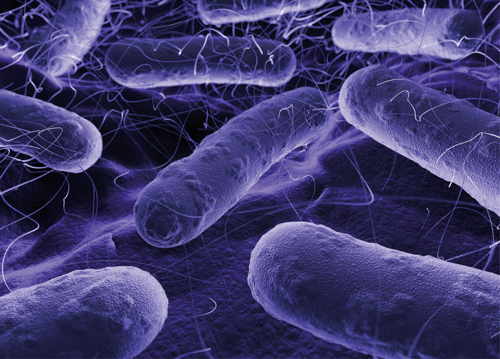 Pseudomonas aeruginosa ist besonders für Menschen mit geschwächtem Immunsystem ein erhebliches Gesundheitsrisiko. - © Bild: Schell / i-Stock
