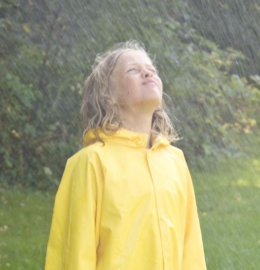 "Die Regenwassernutzung ist eine weiter wachsende Branche, vor allem der Osten holt auf", so Markus Böll, Pressesprecher der Mall GmbH in Donaueschingen.