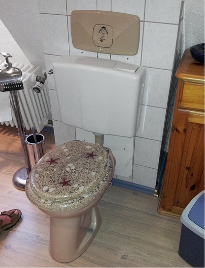 Da hat der Bewohner offensichtlich noch eine alte WC-Anlage im Keller gefunden.