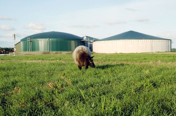 Biogasanlage Pellworm