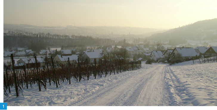 
Im Winter ist der Feuchtegehalt der Außenluft gering. In Häusern mit maschineller Wohnungslüftung ohne Feuchterückgewinnung trocknet deshalb die Raumluft schnell aus. Unbehagen bis zu gesundheitlichen Beschwerden sind die Folge.
