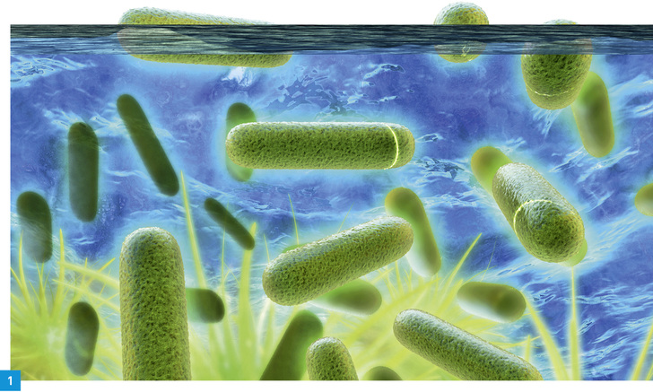 <p>
</p>

<p>
Legionellen sind Mikroorganismen und kommen überall in der öffentlichen Wasserversorgung vor.
</p> - © Bild: xrender / Thinkstock


