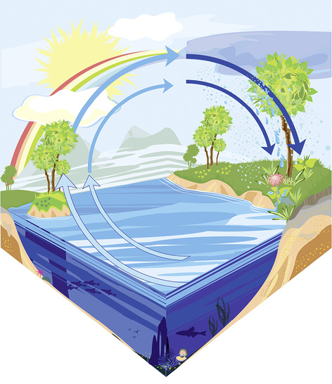 <p>
</p>

<p>
Grafik zum natürlichen Wasserkreislauf.
</p> - © mariaflaya / Thinkstock

