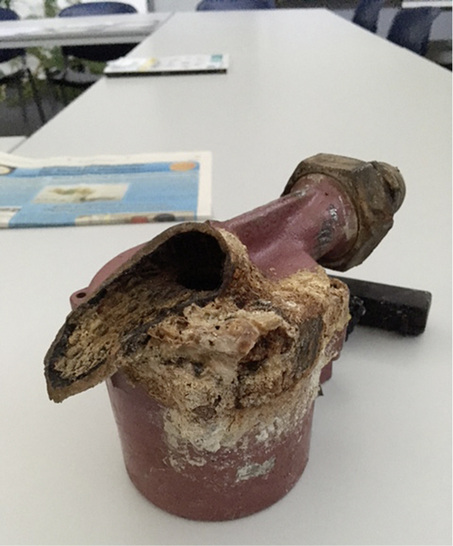 
Die Heizungs-Umwälzpumpe hat die Installation im Trinkwasser nicht gut überstanden.
