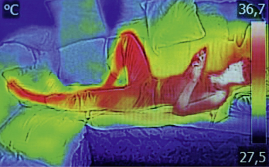 





Ein solches Bild muss durch entsprechende Rechenleistung in Millisekunden ausgewertet werden, um dann eine gezielte Strahlendosis zur Erwärmung der Person auszusenden.

