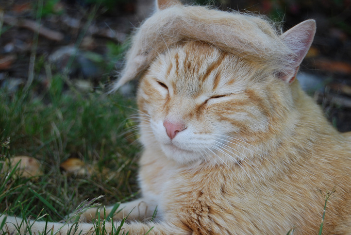 © eb33 / Thinkstock