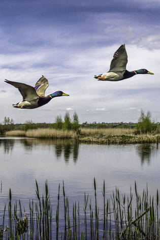 © Nathanx1 / Thinkstock / iStock