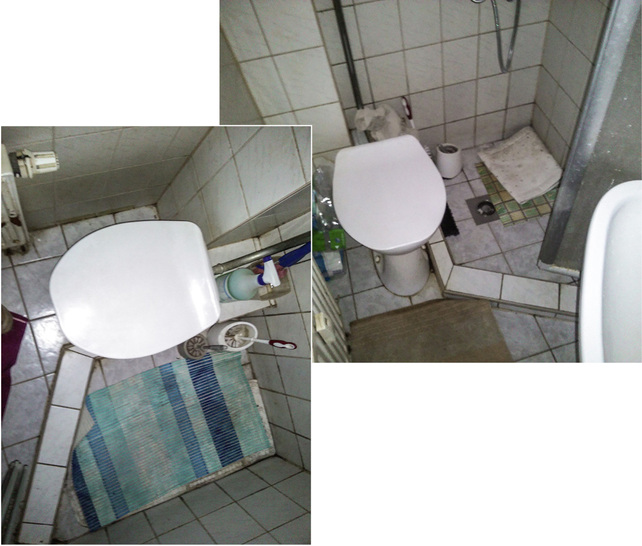 
Bei dieser Installation wurde der Begriff Dusch-WC ganz neu ausgelegt. Platz ist, wo ein Wille ist …
