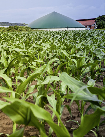 <p>
In Biogasanlagen besteht die Gefahr der Verunreinigung des Trinkwassers.
</p>

<p>
</p> - © lenawurm / Thinkstock

