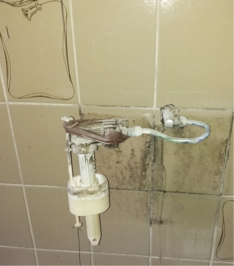 
Da muss der Fachmann ran.



